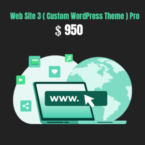 Web Site 3 ( Custom WordPress Theme ) Pro02